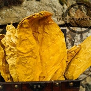 Virginia Gold Tabakblätter 10 Kg