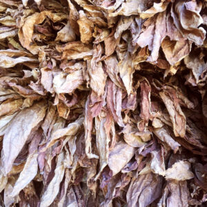 Tabakblätter "Burley" Premium Qualität 100 Kg Type BF